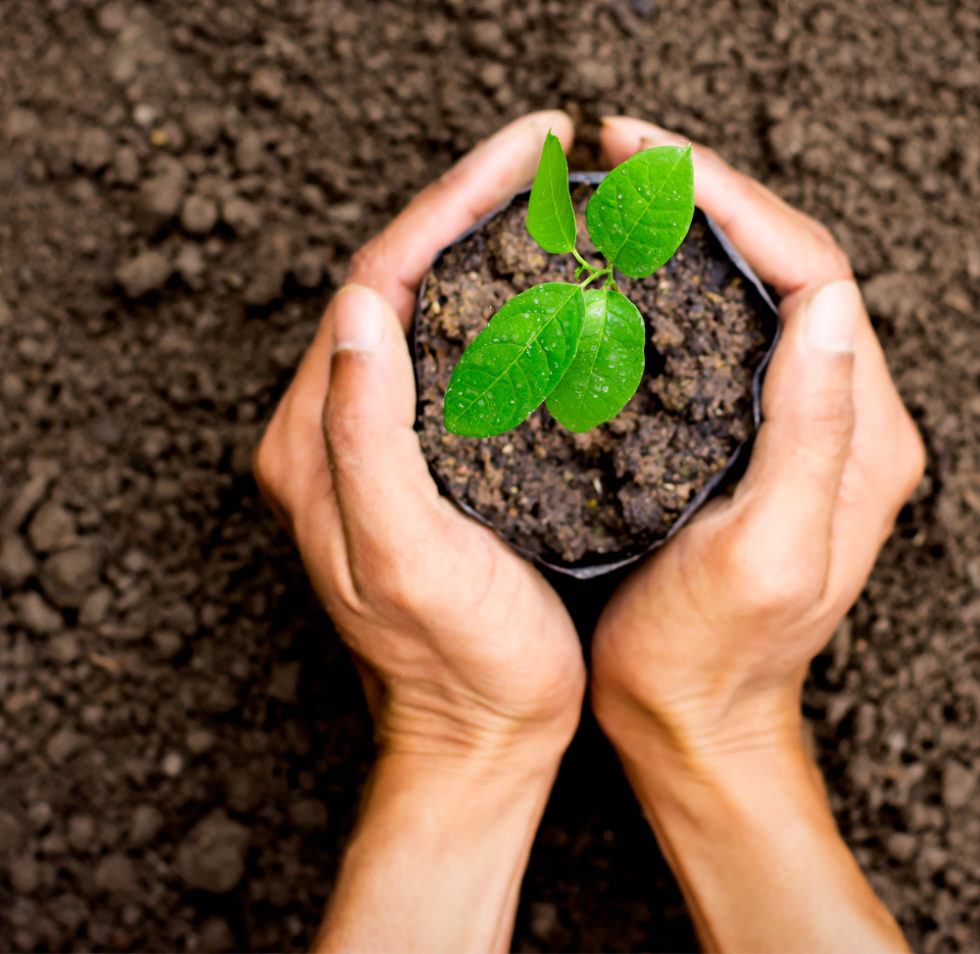 Dolphin Dry Cleaners Calgary's Best EcoFriendly Dry Cleaner